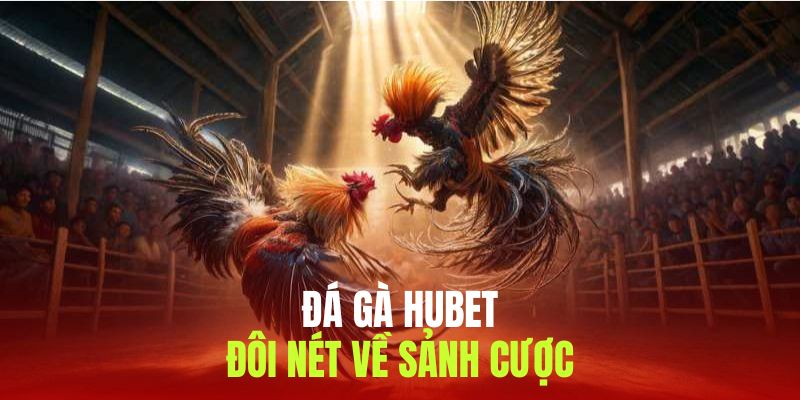 Đôi nét về sảnh cược đá gà Hubet kinh điển 2025