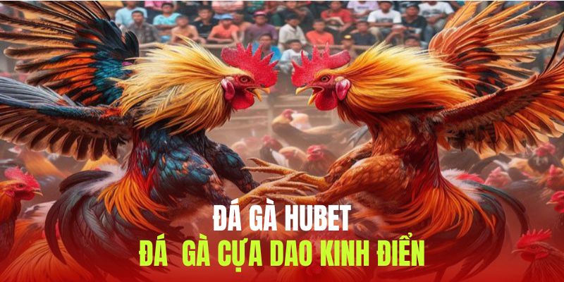 Đá gà cựa dao thu hút đông đảo lượng người truy cập mỗi ngày