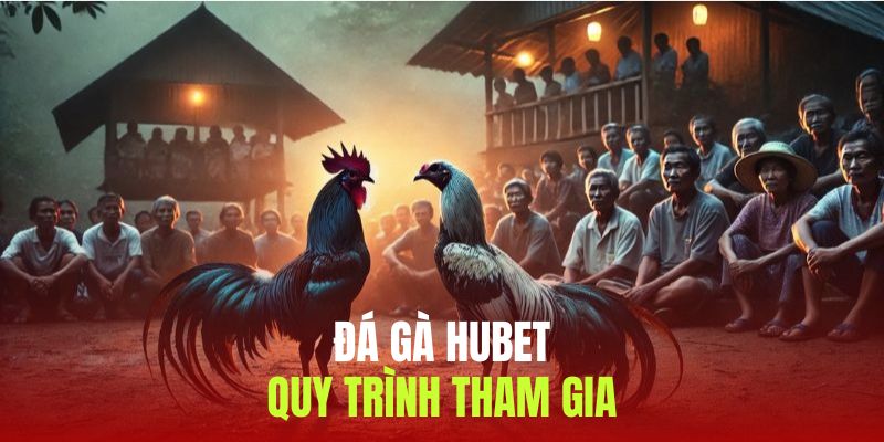 Quy trình cá cược, nhận thưởng tại đá gà Hubet