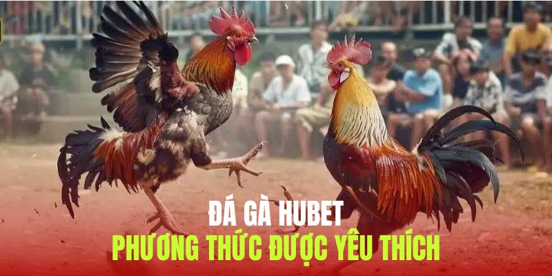 Những phương thức chọi gà top đầu tại Hubet năm 2025