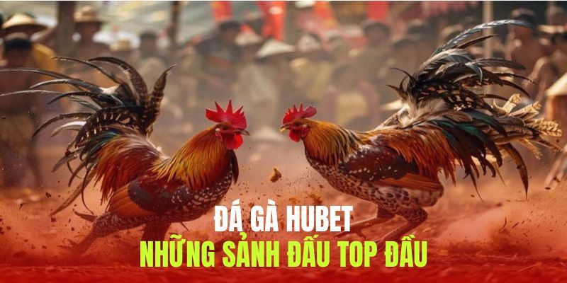 Những sảnh chơi top đầu tại Hubet cho kê thủ