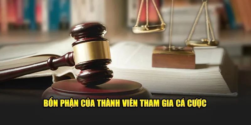 Cam kết của nền tảng đối với hội viên tham gia cá cược